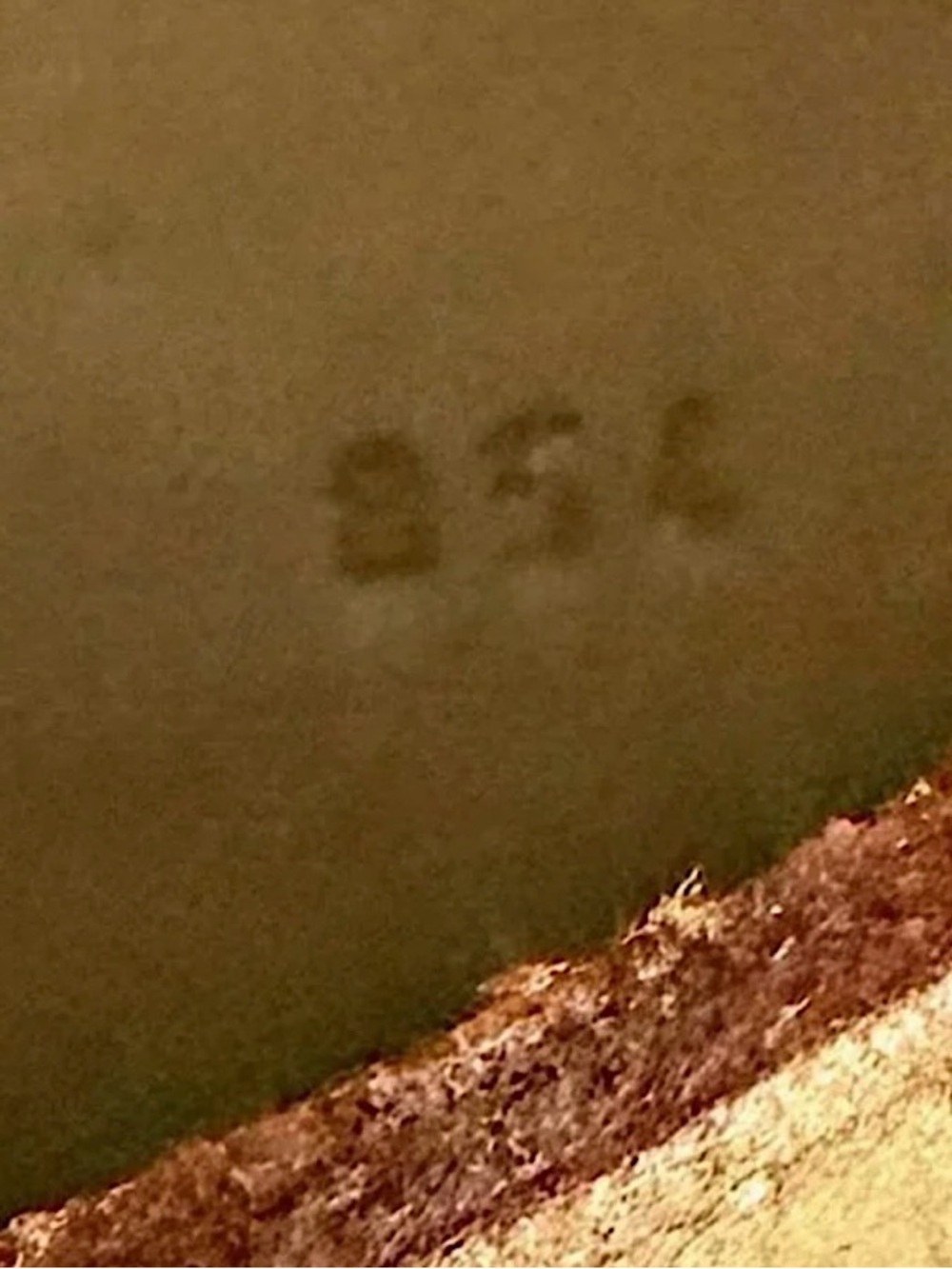 Authentic Louis Vuitton Vintage Sac Biface 2 Way Crossbody Bag - Picture 9 of 9